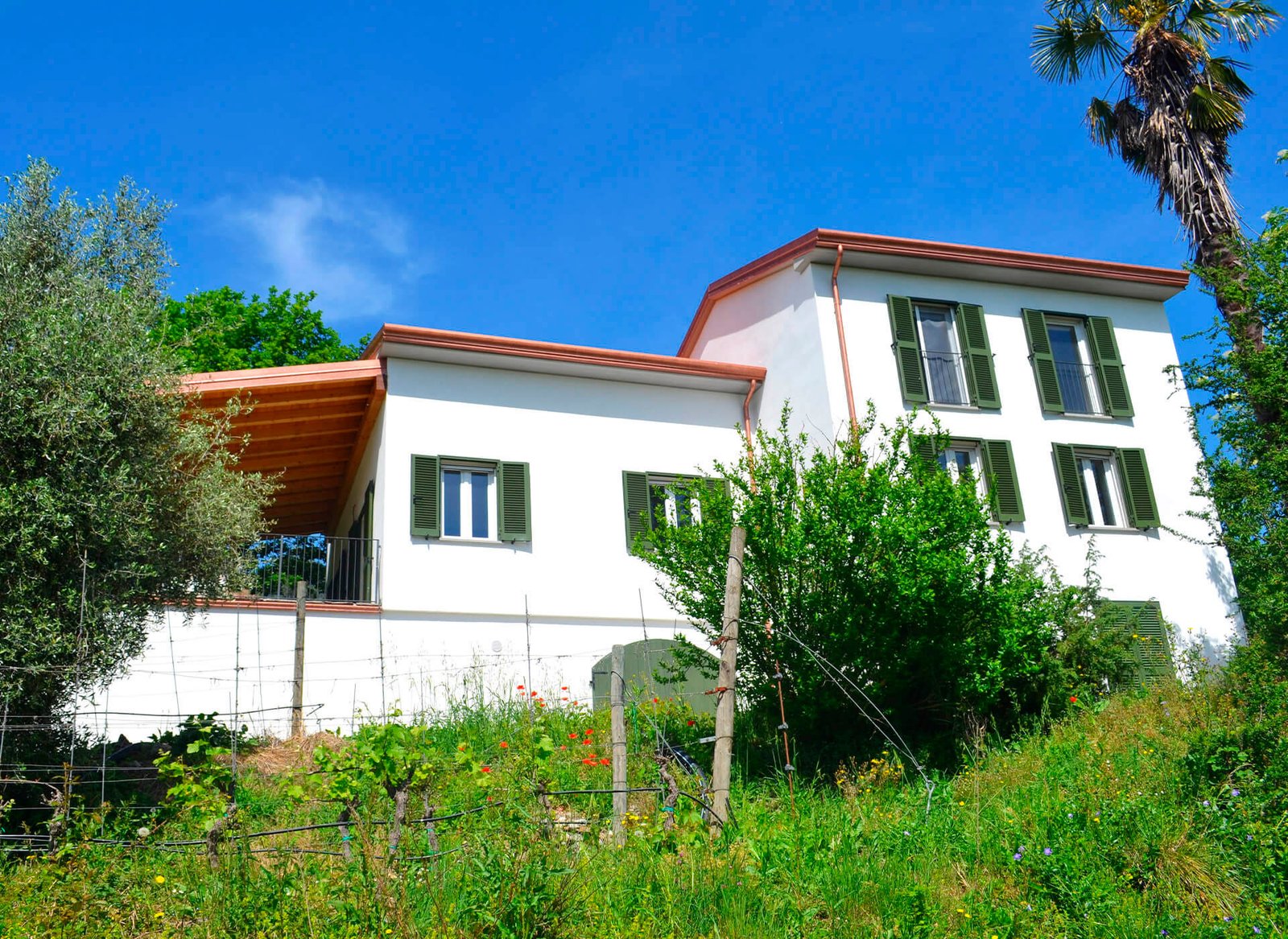 Casa Madre